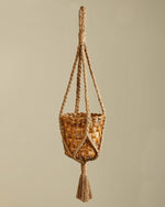 Load image into Gallery viewer, Canopy - Planter And Hanger Set