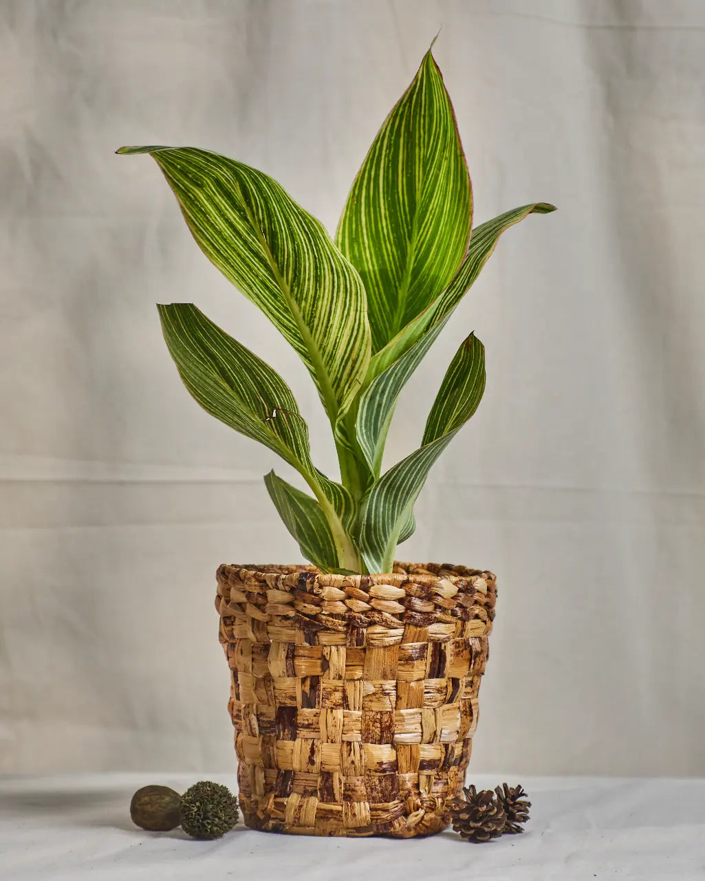 Meira and savi set of 2 multi utility banana fiber basket
