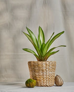 Load image into Gallery viewer, Savi - Multi-Utility Banana Fiber Basket