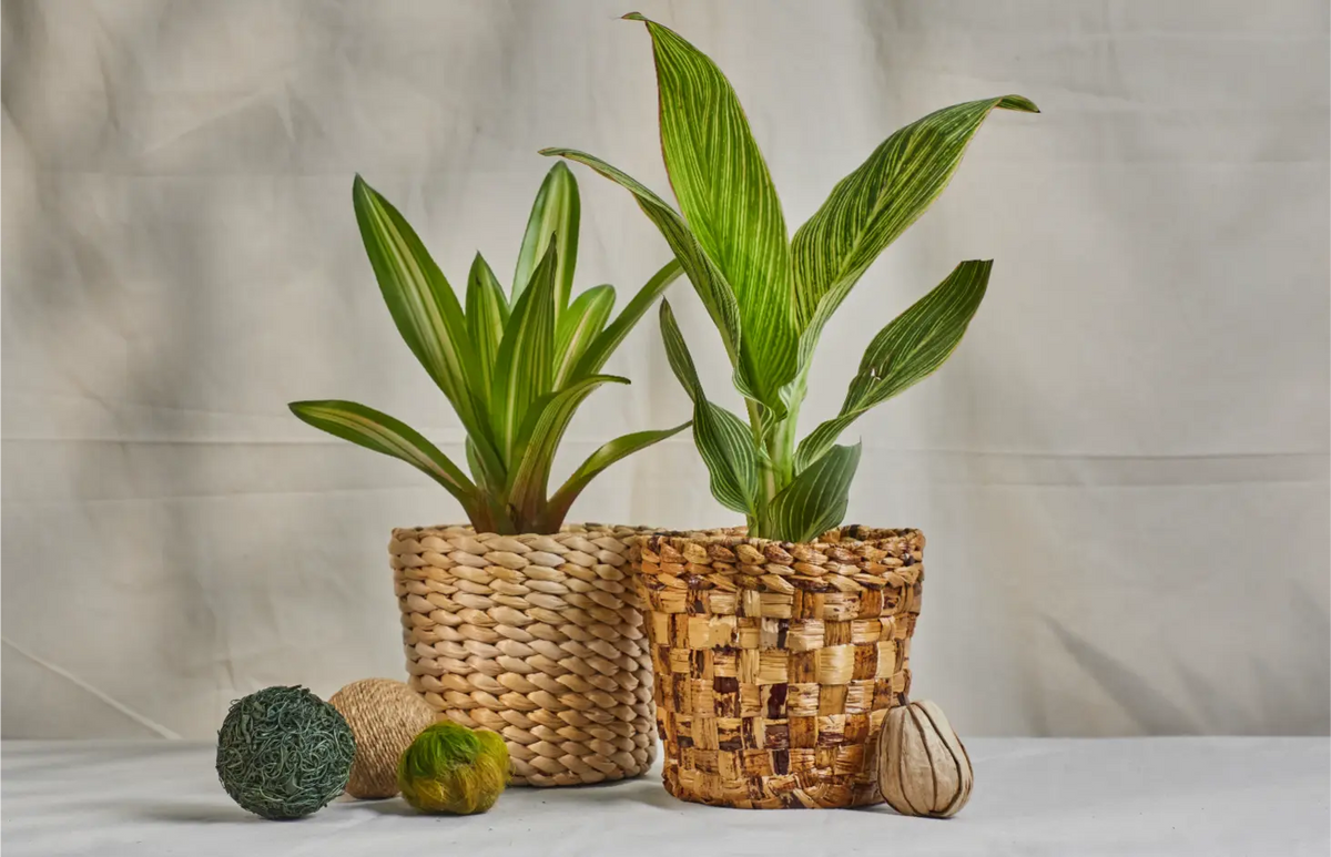 Meira and savi set of 2 multi utility banana fiber basket