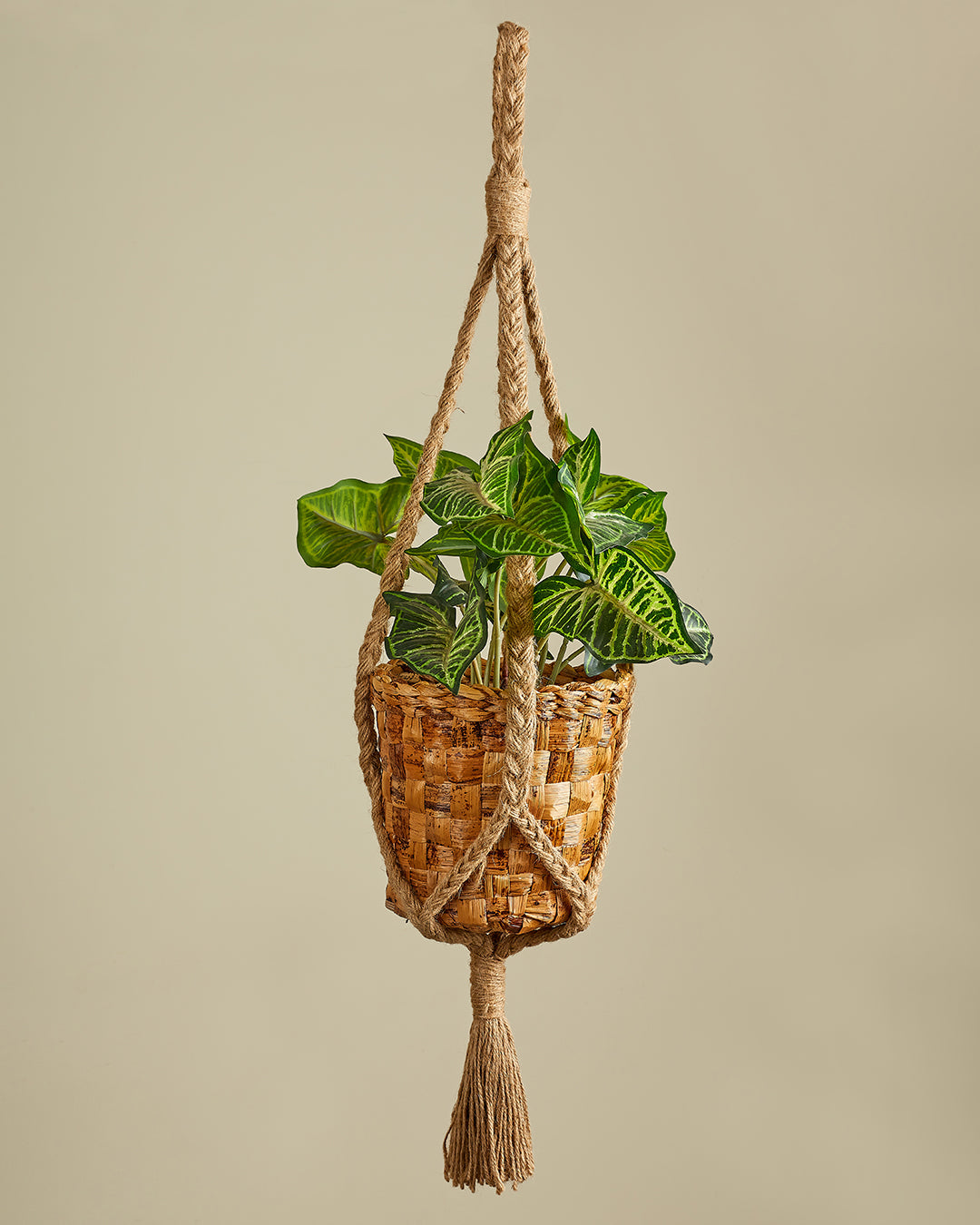 Canopy - Planter And Hanger Set