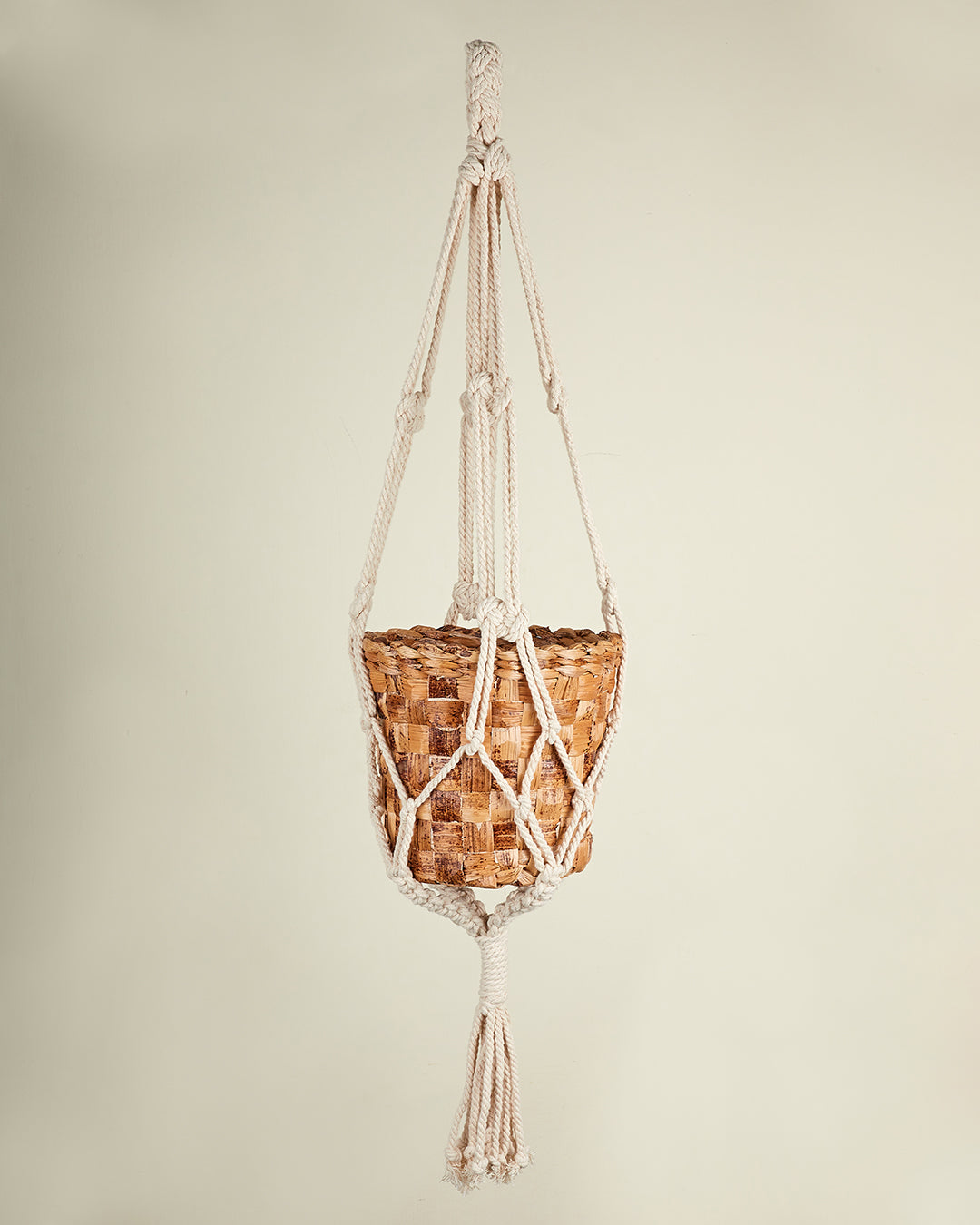 Mitti   macrame hanger with planter