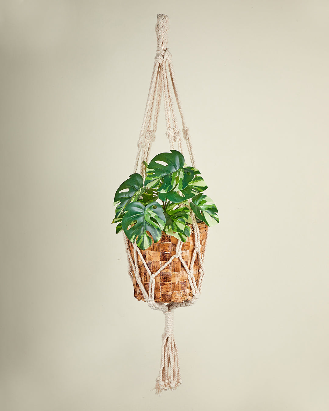 Mitti   macrame hanger with planter