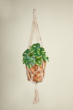 Load image into Gallery viewer, Mitti - Macrame Pot Hanger with Banana Fiber Planter
